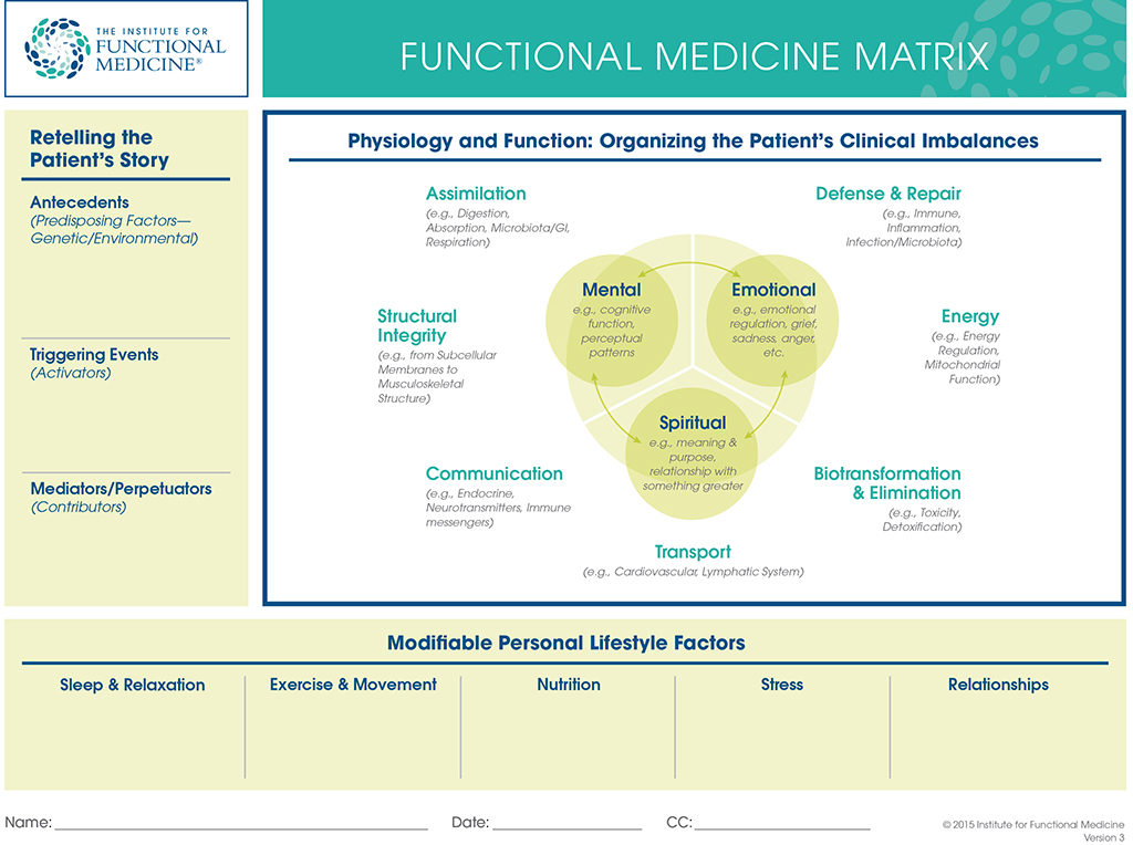 Diagram of the functional medicine matrix, which looks at the life history, modifiable lifestyle factors, clinical imbalances, and mental, emotional, and spiritual aspects of health.
