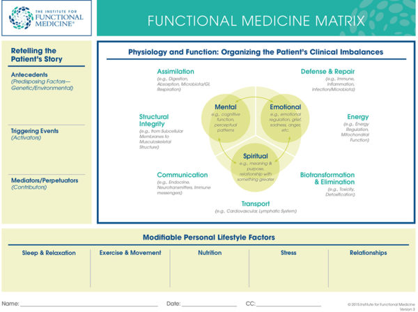 Supporting the Functional Medicine Journey - Mammoth Hills Coaching and ...
